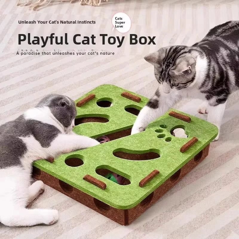 Chat utilisant une boîte à énigmes avec griffoir intégré