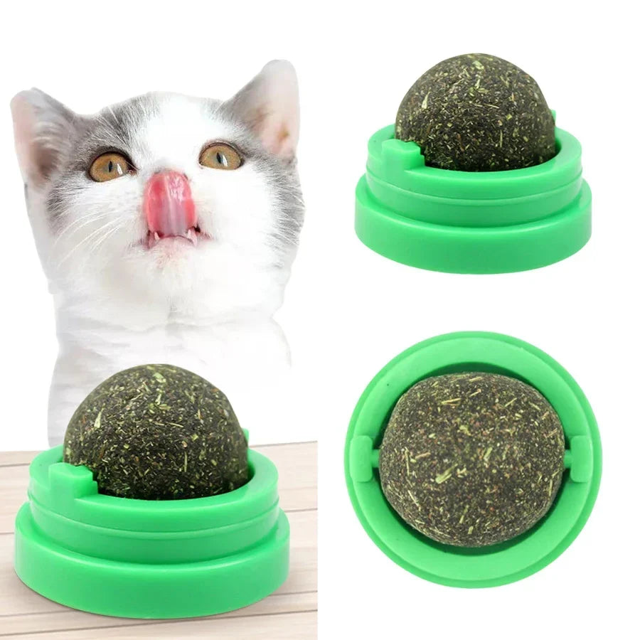 Balle à catnip pour aider à la digestion du chat
