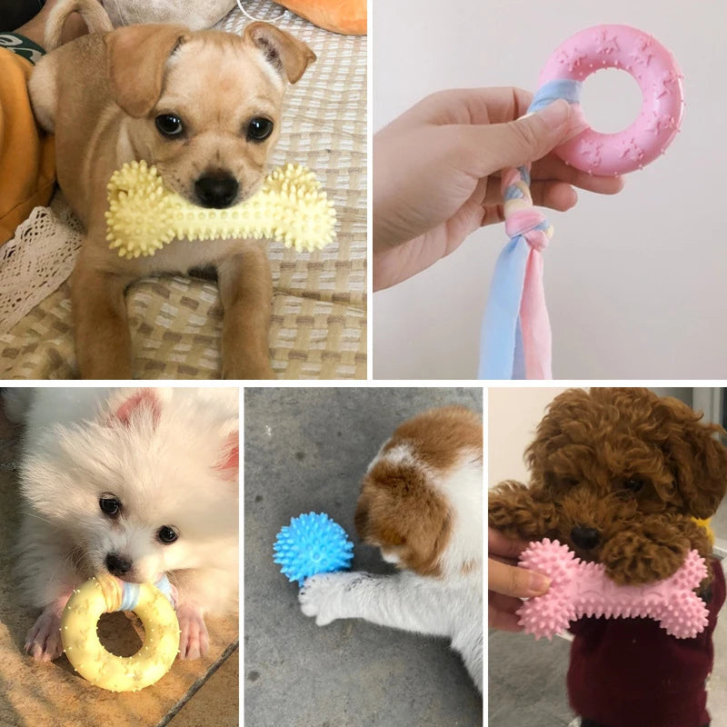 Jouet à nouer increvable pour chien