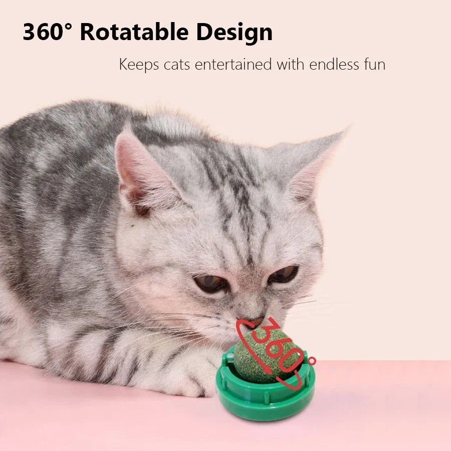 Balle à catnip rotative pour chat