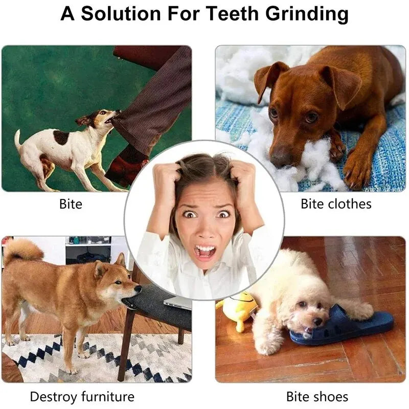Balle distributrice de friandises pour chien