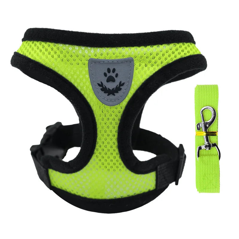 Harnais de promenade ajustable pour chien
