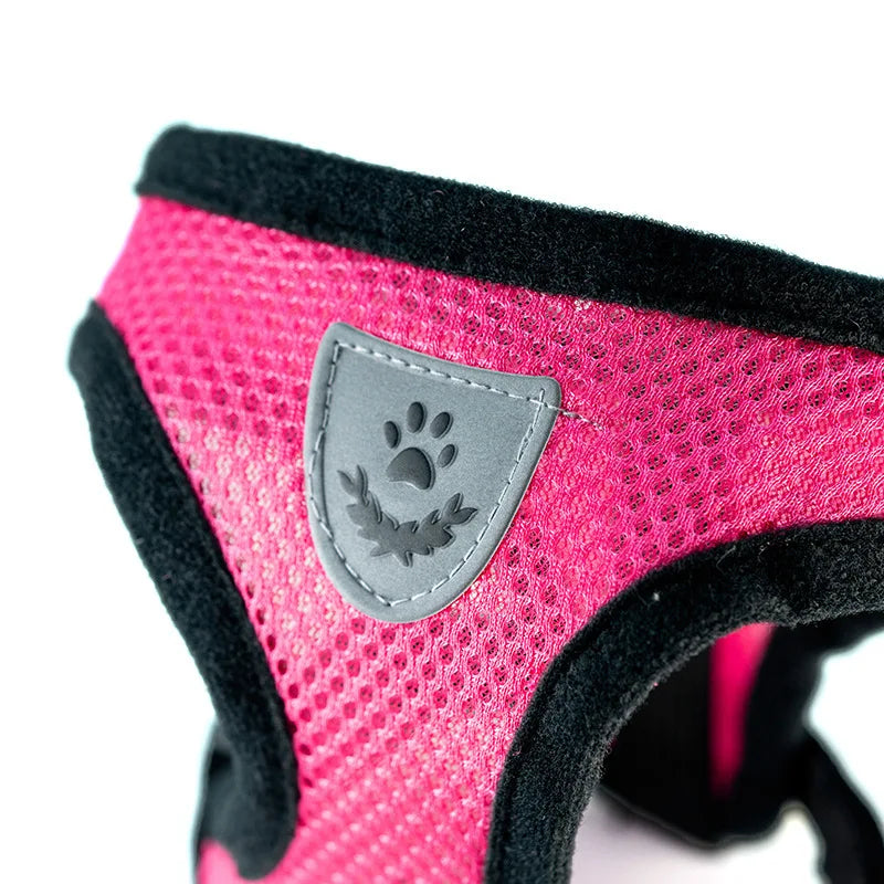 Harnais de promenade ajustable pour chien
