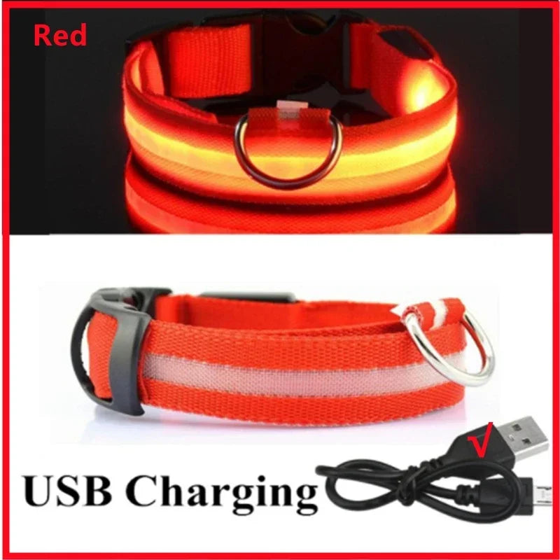 Collier lumineux LED rechargeable