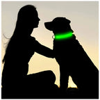 Collier lumineux LED rechargeable pour chien et chat
