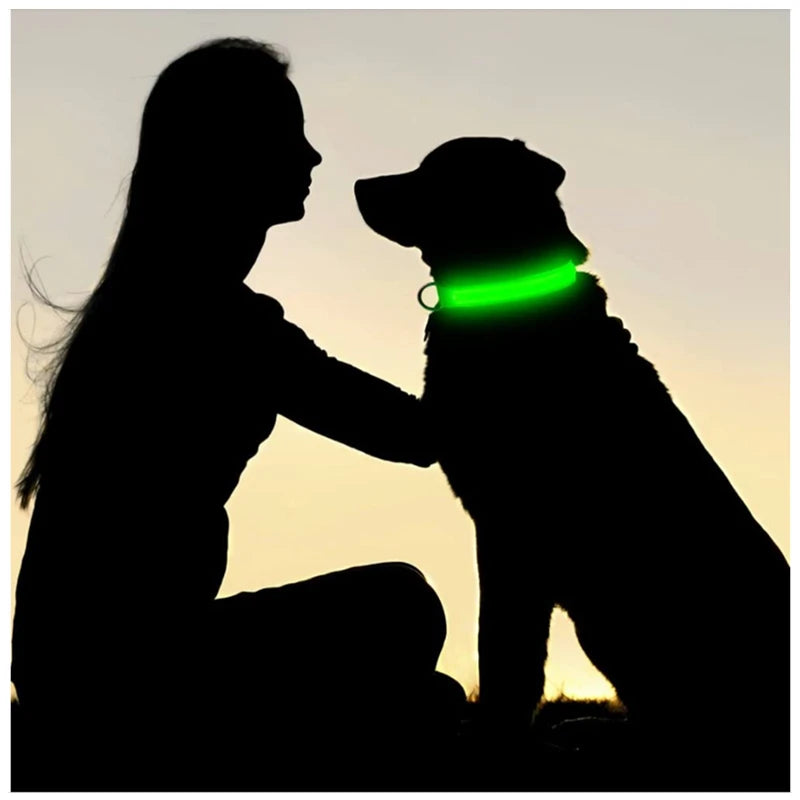Collier lumineux LED rechargeable pour chien et chat