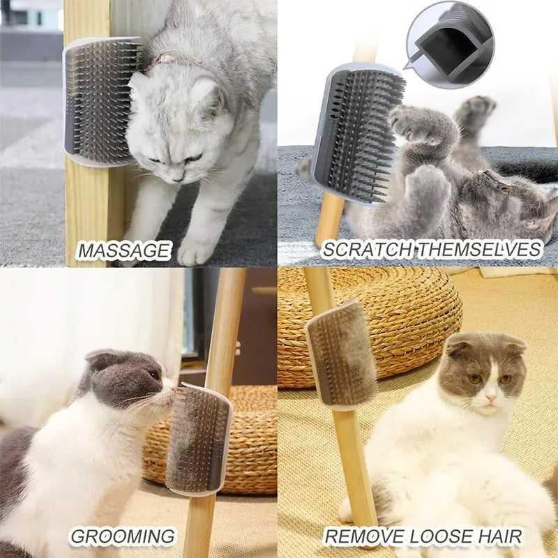Brosse à coin auto-toilettage pour chat