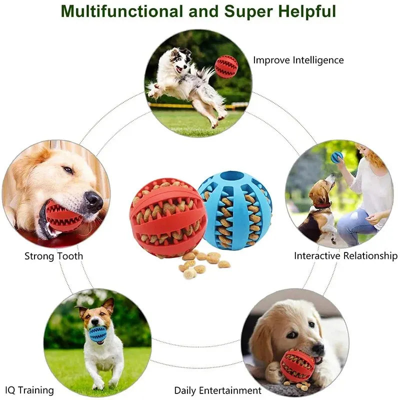 Balle distributrice de friandises pour chien