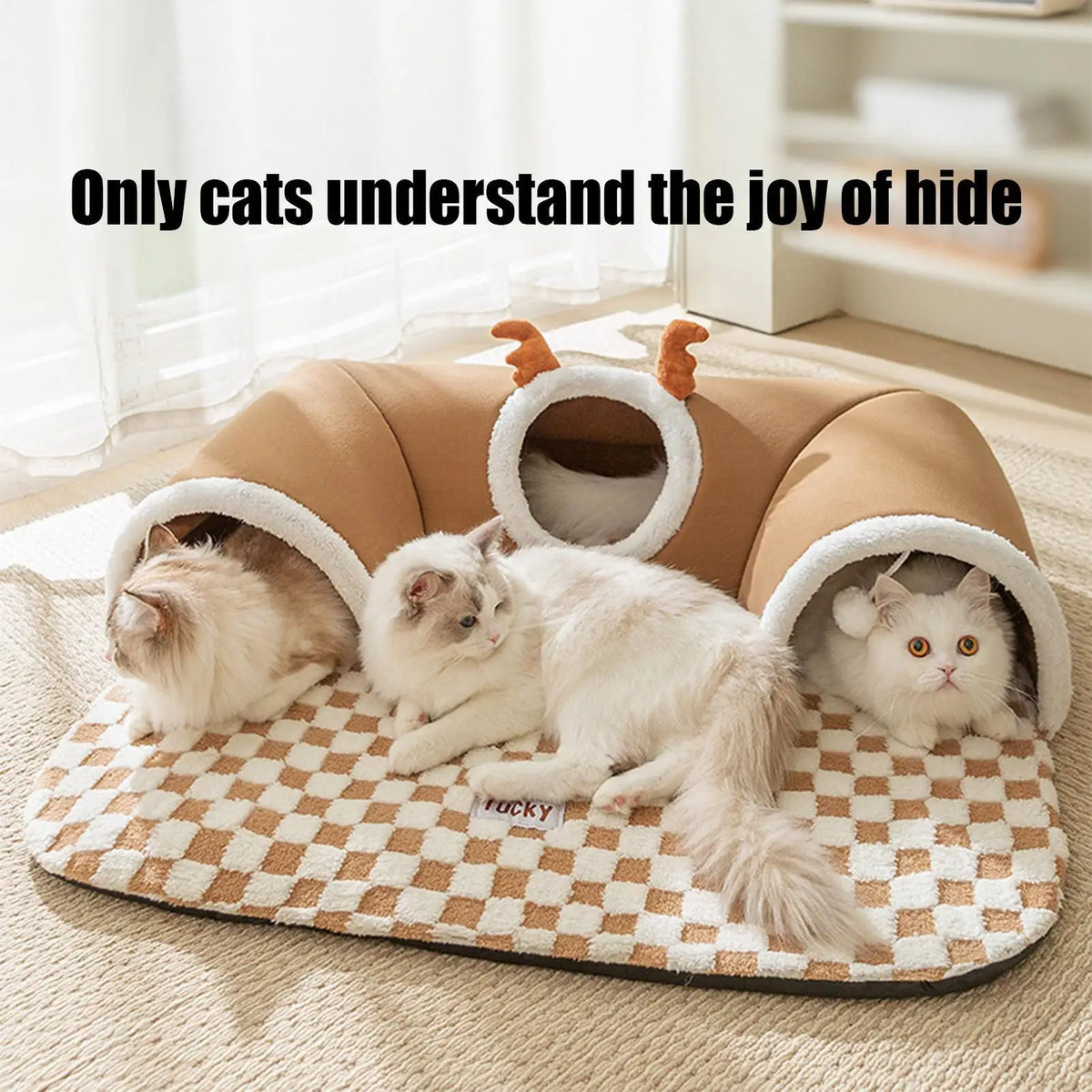 Tente-tunnel avec coussin pour chat