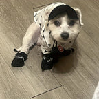 Bottes imperméables pour chien (lot de 4)