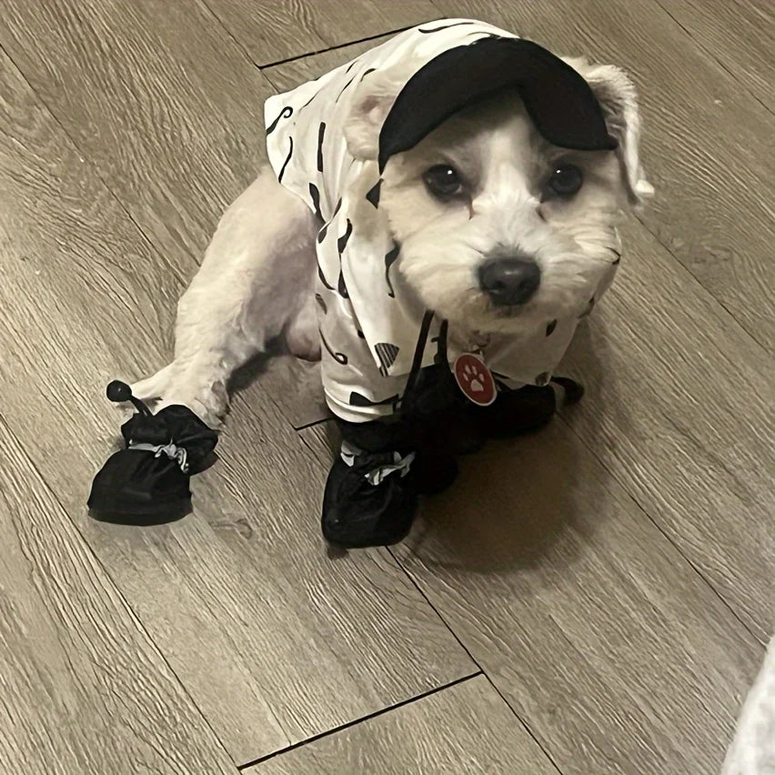 Bottes imperméables pour chien (lot de 4)