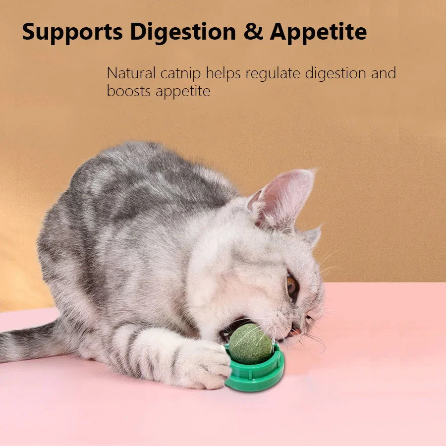 Balle à catnip rotative pour chat