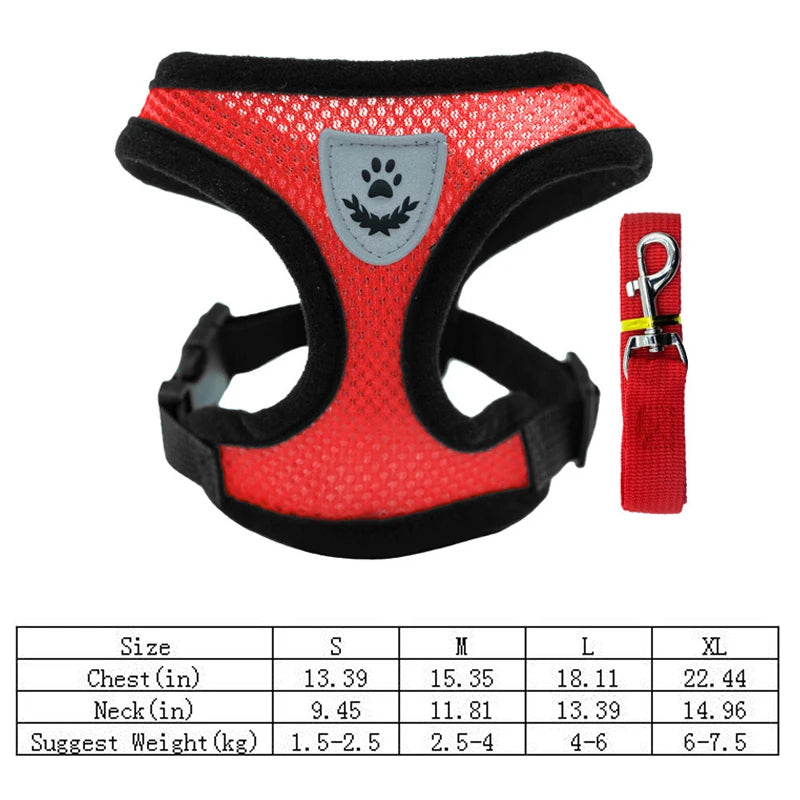 Harnais de promenade ajustable pour chien