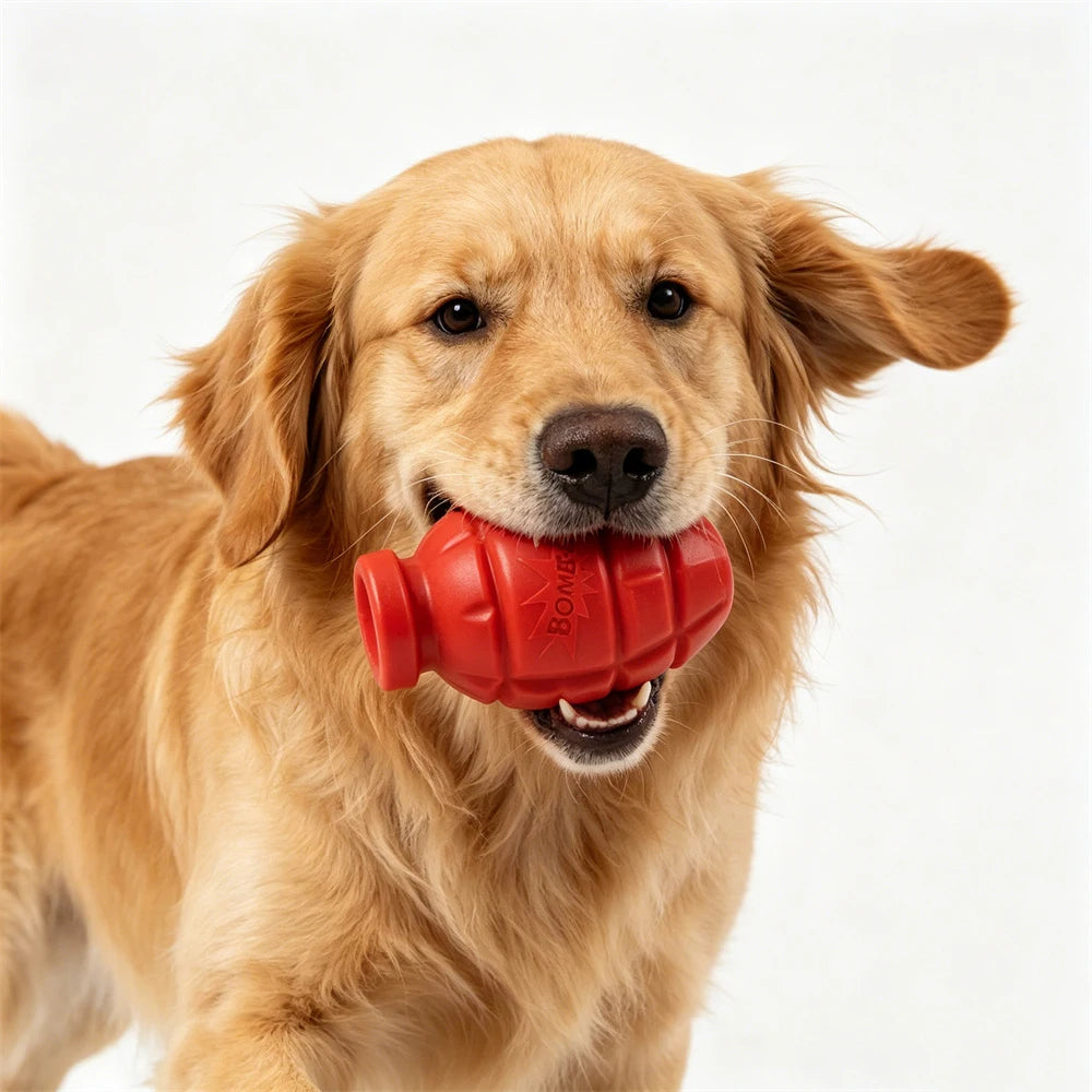 Jouet à mâcher increvable pour chien