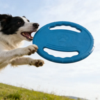 Frisbee souple indestructible pour chien