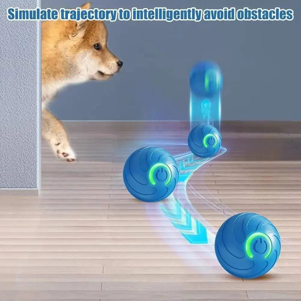 Balle électronique rebondissante pour chien et chat