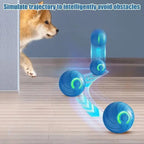 Balle électronique rebondissante pour chien et chat