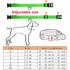 Collier lumineux LED rechargeable pour chien et chat