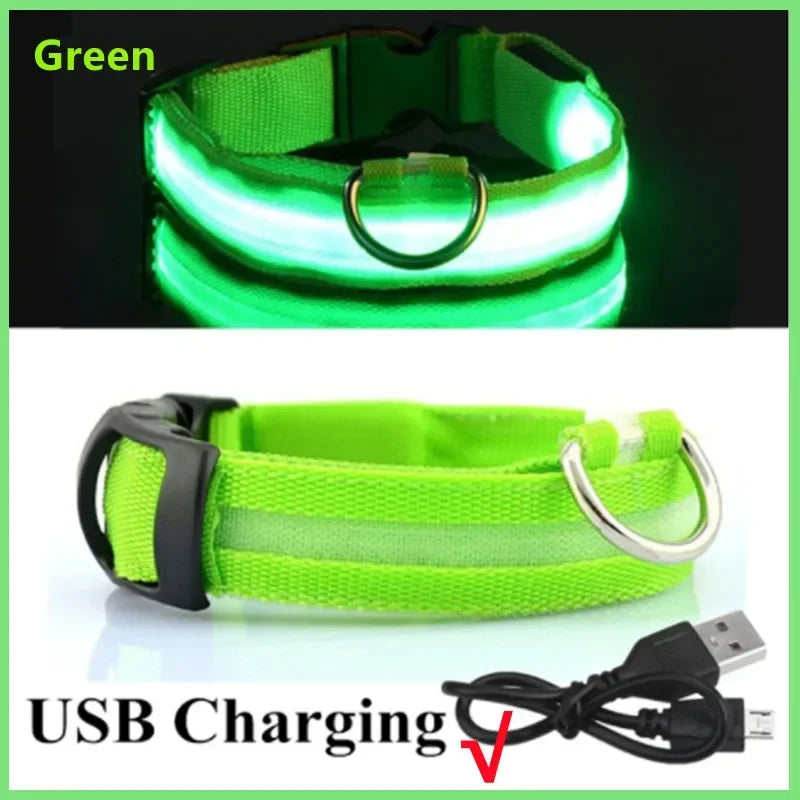 Collier lumineux LED rechargeable