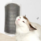 Brosse à coin auto-toilettage pour chat