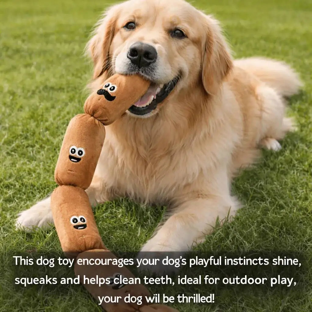 Peluche saucisse grinçante pour chien