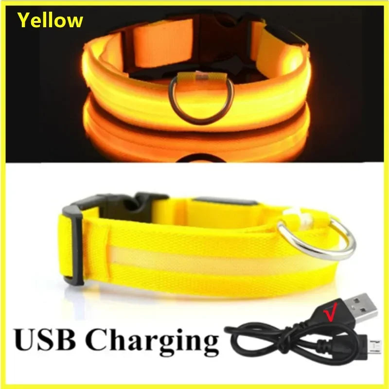 Collier lumineux LED rechargeable pour chien et chat