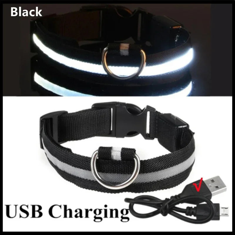 Collier lumineux LED rechargeable