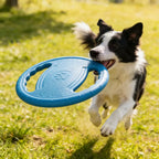 Frisbee souple indestructible pour chien