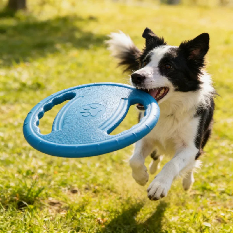 Frisbee souple indestructible pour chien