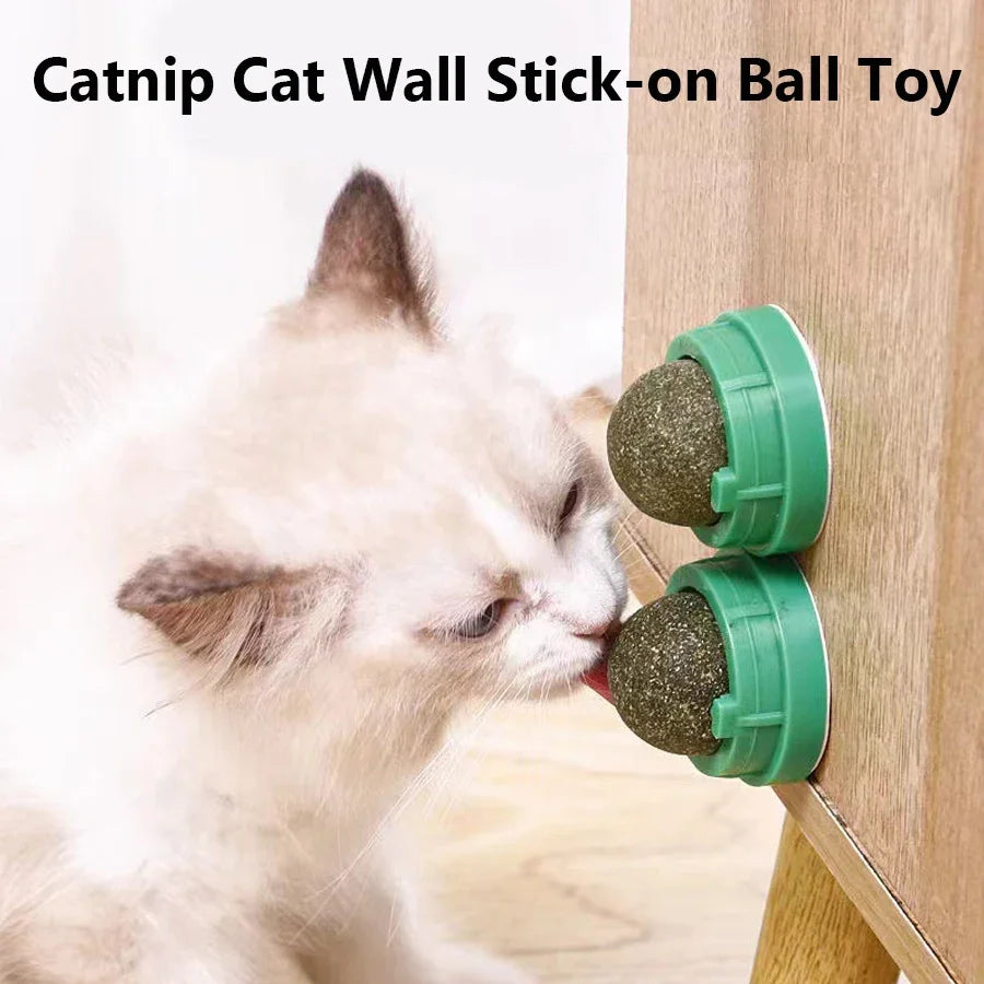 Balle à catnip rotative pour chat