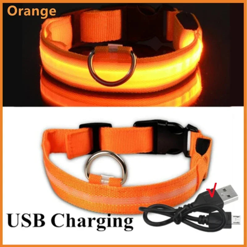 Collier lumineux LED rechargeable pour chien et chat