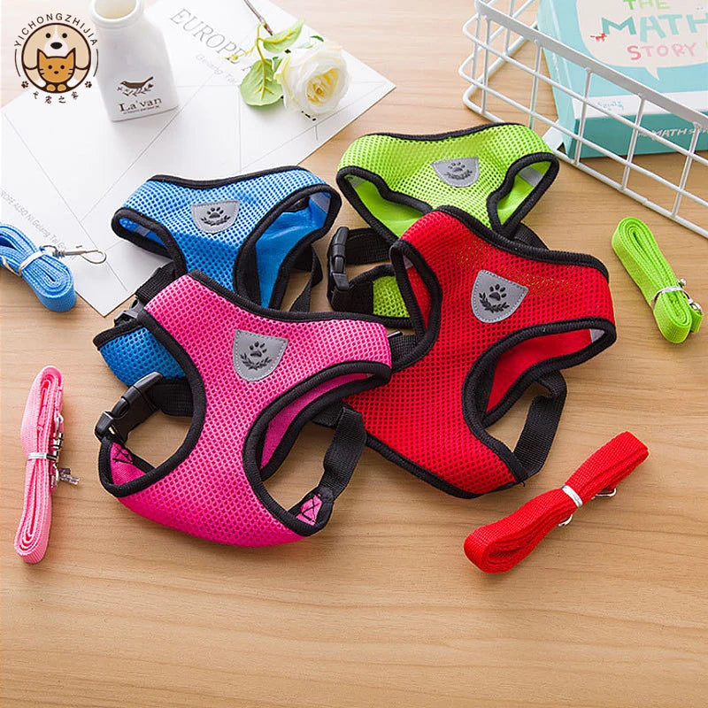 Harnais de promenade ajustable pour chien
