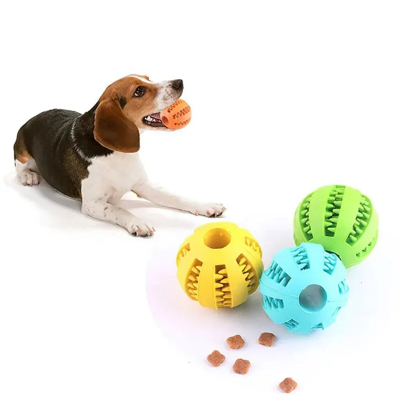 Balle distributrice de friandises pour chien