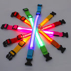 Collier lumineux LED rechargeable pour chien et chat