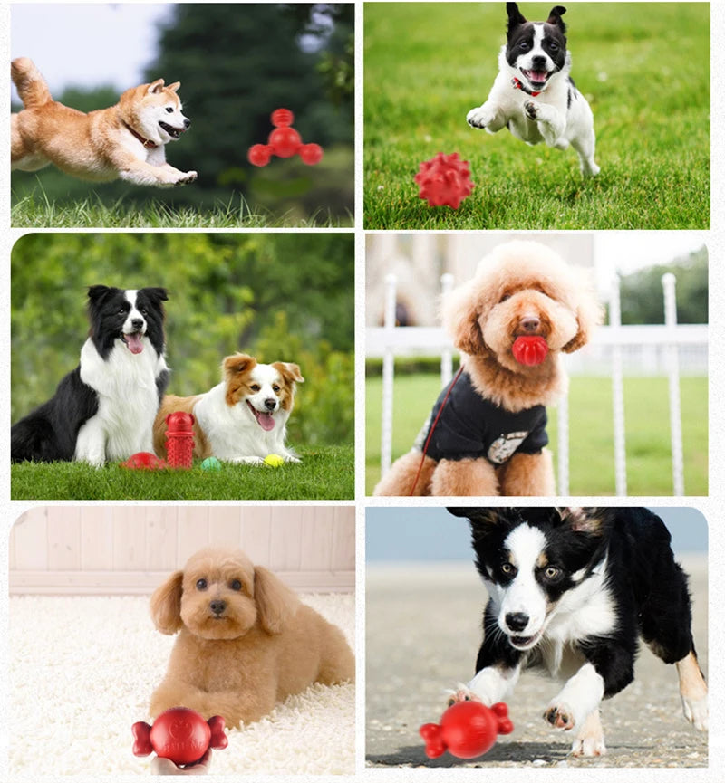 Jouet à mâcher increvable pour chien
