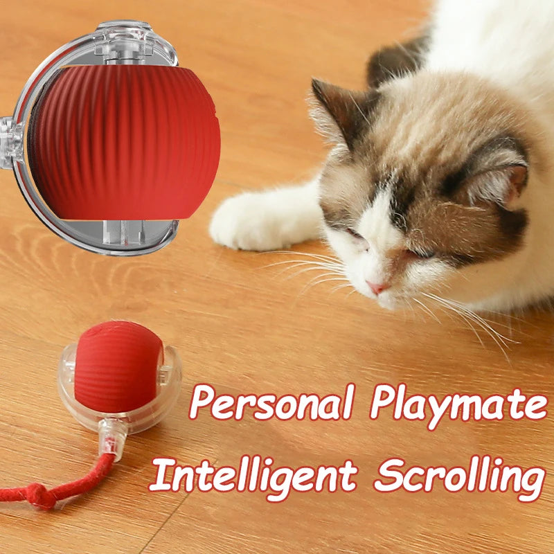 Balle interactive à fausse queue pour chat