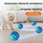 Balle électronique rebondissante pour chien et chat