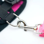Harnais de promenade ajustable pour chien