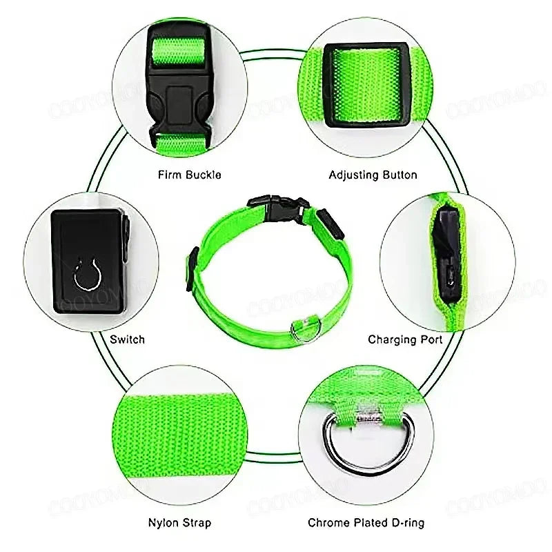 Collier lumineux LED rechargeable pour chien et chat