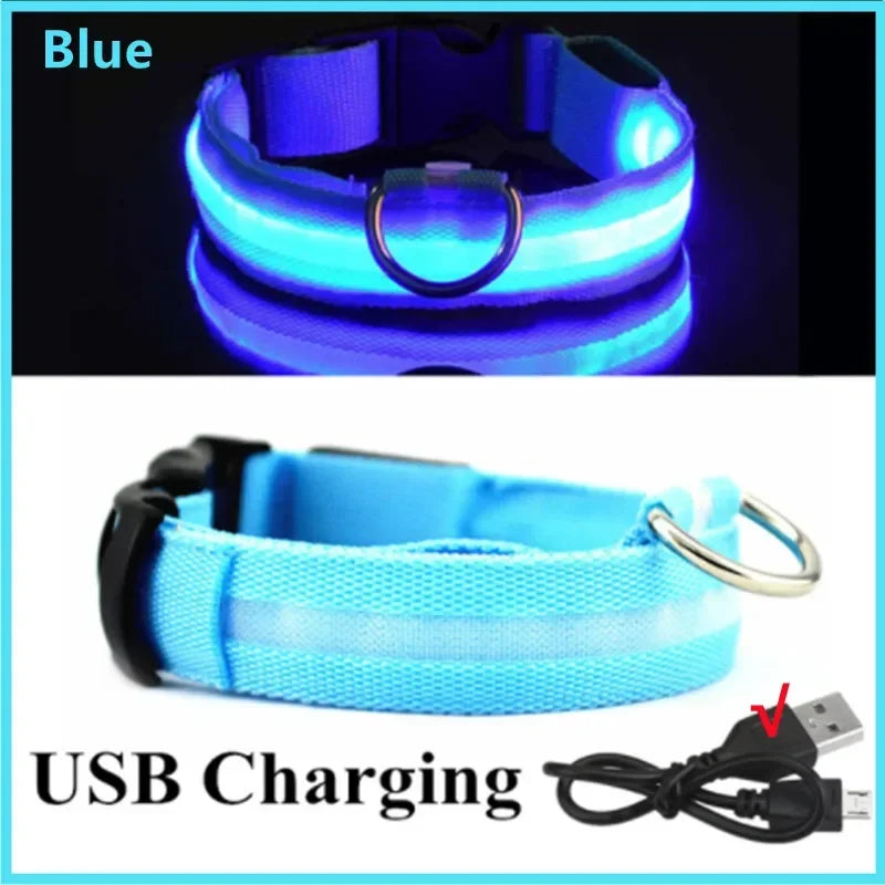 Collier lumineux LED rechargeable pour chien et chat