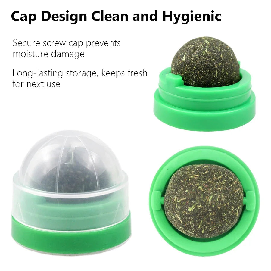 Balle à catnip rotative pour chat