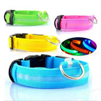 Collier lumineux LED rechargeable pour chien et chat
