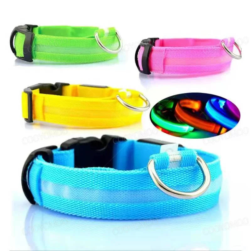Collier lumineux LED rechargeable pour chien et chat