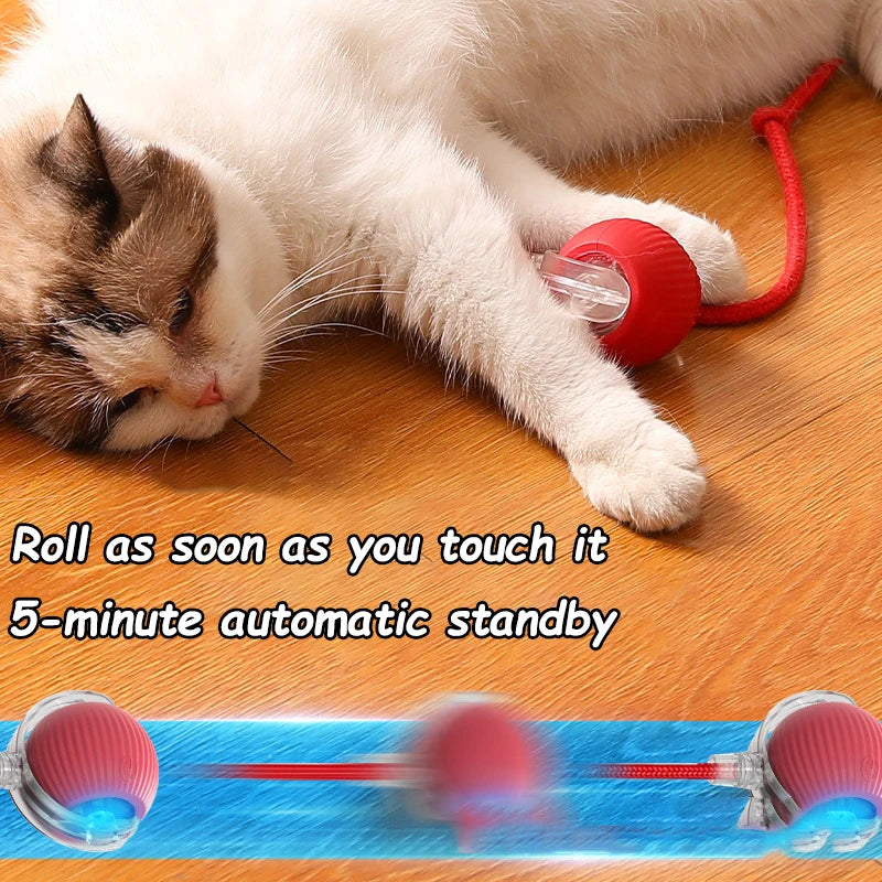 Balle interactive à fausse queue pour chat