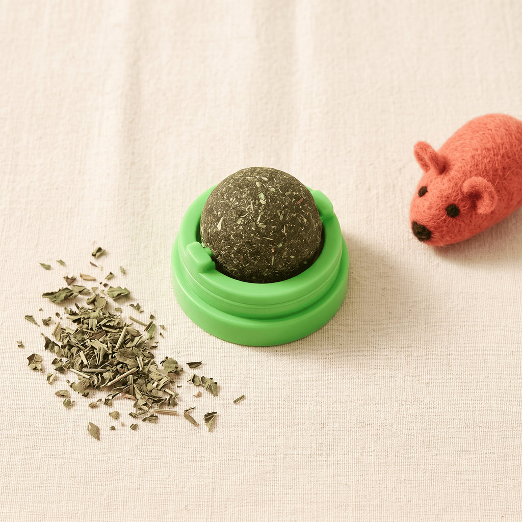 Balle à catnip rotative pour chat