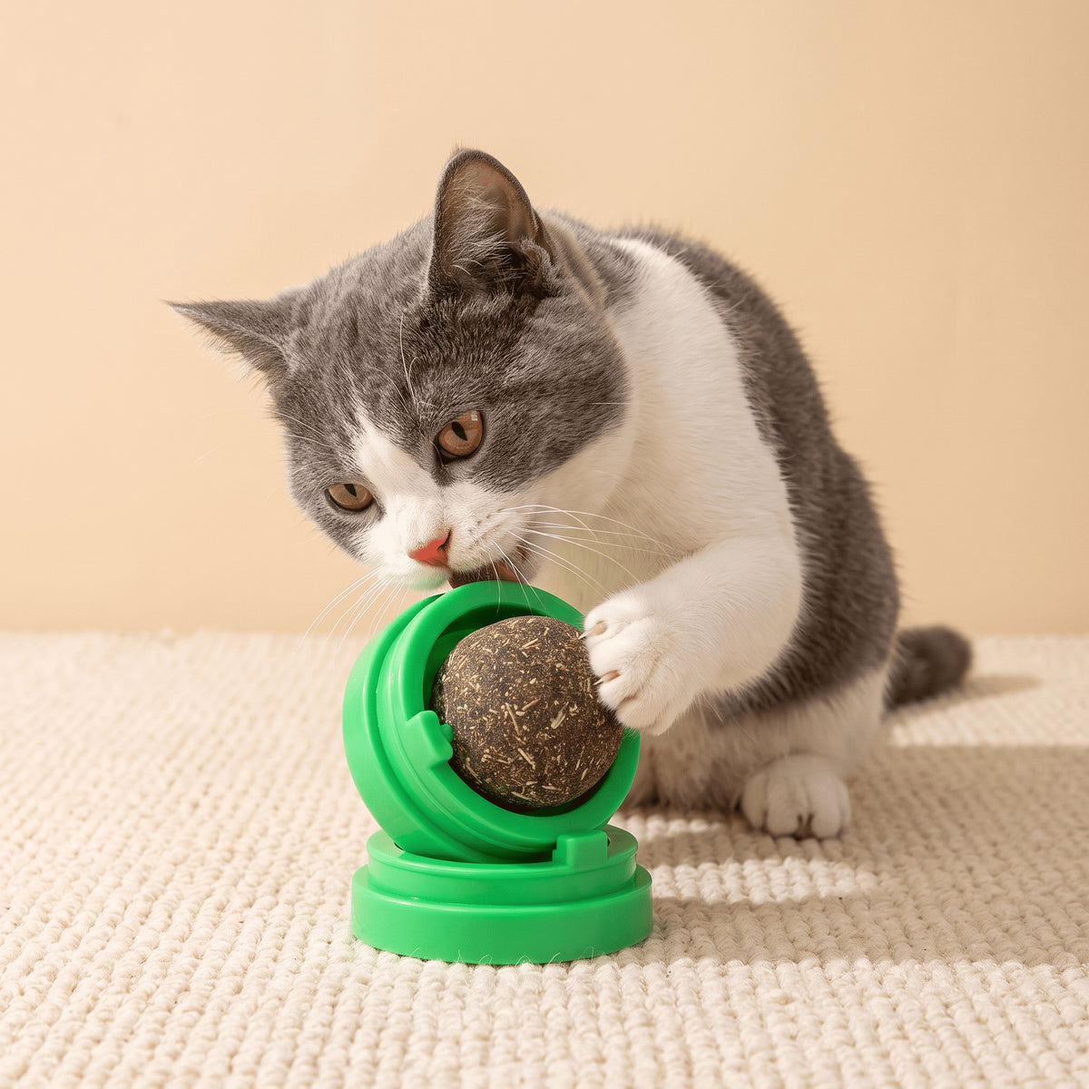 Balle à catnip rotative pour chat