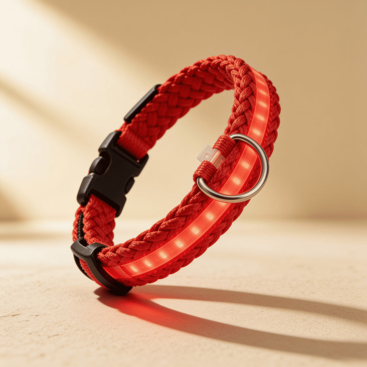 Collier lumineux LED rechargeable pour chien et chat